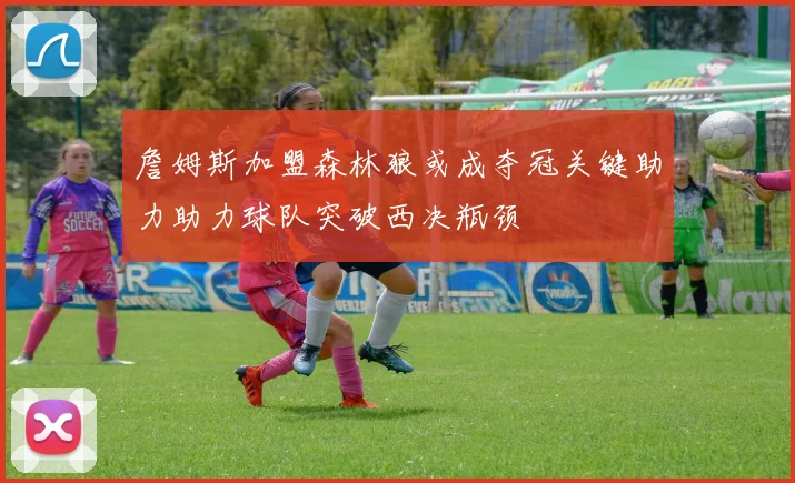 詹姆斯加盟森林狼或成夺冠关键助力助力球队突破西决瓶颈